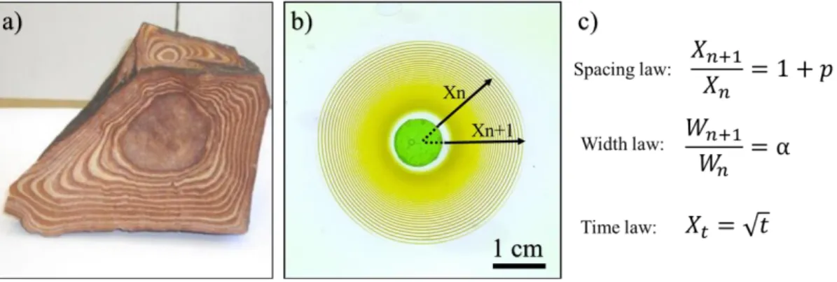 Figure 1. Examples of Liesegang patterns. (a) Periodic pattern formation in a volcanic  rock  [9],  reprinted  with  permission  from  [10]