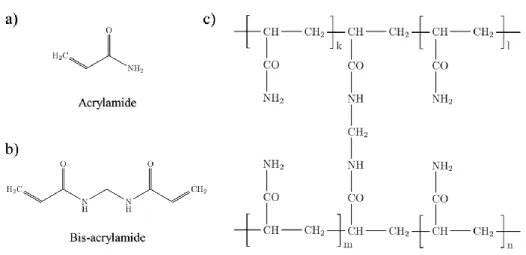 Figure 4. Chemical structure of polyacrylamide hydrogel.  (a) Acrylamide  monomer  (AA) chemical structure