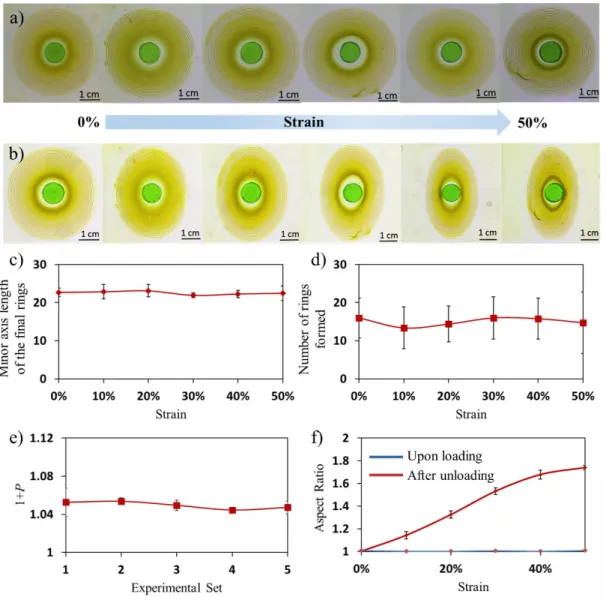 Figure 6. Formation of Liesegang patterns (LPs) upon loading for 24 hrs and just after  unloading at the 24th hr