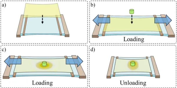 Figure  11  illustrates  the  setup  and  procedure  for  deforming  (stretching/releasing)  hydrogels  with  2D  Liesegang  patterns  in  PAA  hydrogel