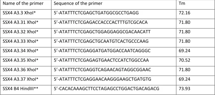 TABLE 2. PCR primers for SSX4 promoter mapping (sense orientation) 