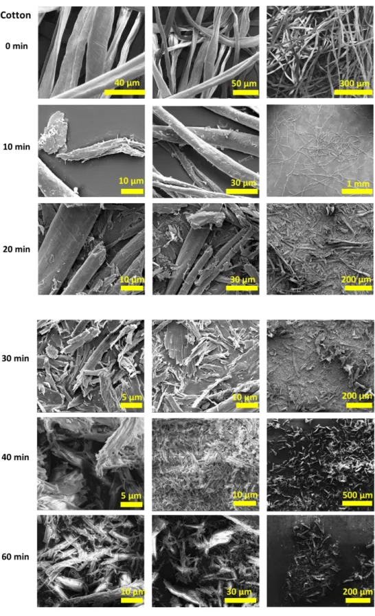 Figure 14. SEM images of cotton and wet cryomilled cotton (500 mg) samples (30  Hz frequency in the presence of 6 zirconia balls in the zirconia sample chamber at  77 K) for 10, 20, 30, 40, and 60 minutes