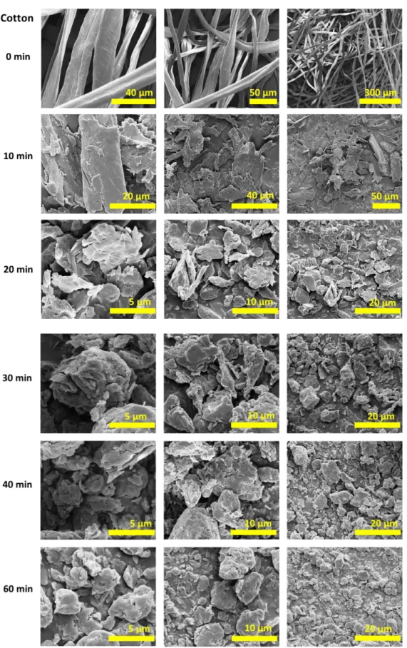Figure 16. SEM images of cotton and dry cryomilled cotton (500 mg) samples (30  Hz frequency in the presence of 6 zirconia balls in the zirconia sample chamber at  77 K) for 10, 20, 30, 40, and 60 minutes