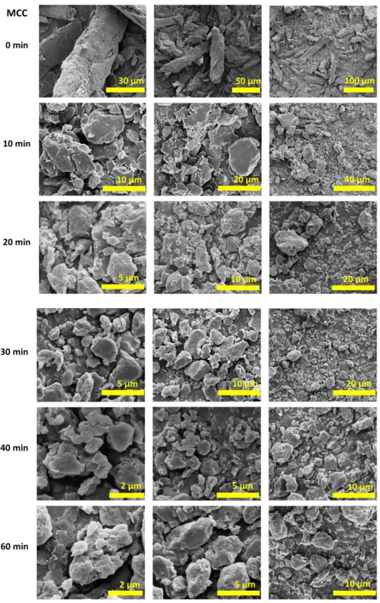 Figure 17. SEM images of MCC and dry cryomilled MCC (500 mg) samples (30  Hz frequency in the presence of 6 zirconia balls in the zirconia sample chamber at  77 K) for 10, 20, 30, 40, and 60 minutes