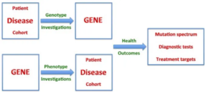 Figure 5. A scheme for “reverse phenotyping” of disease-associated genes.