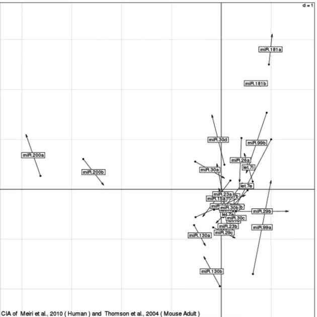 Figure 5. Distribution of microRNAs after dimension reduction by co inertia analysis. microRNAs related in expression clustered together