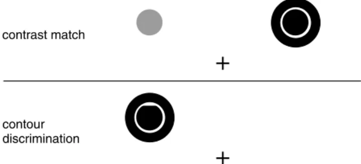 Fig. 1 illustrates the stimulus conﬁguration used in the brightness judg- judg-ment and in the contour discrimination tasks