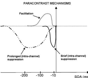Fig. 7. Schematic diagram of three processes that are proposed to underlie paracontrast eﬀects.