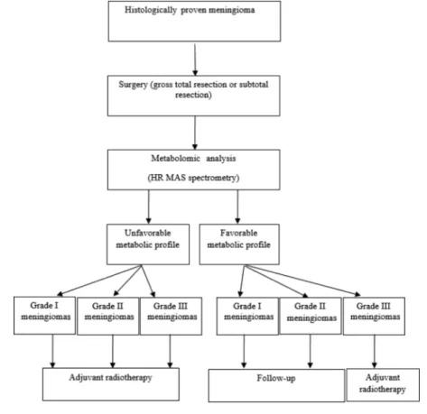 Table 1. Management Strategy of Meningiomas Using High-Resolution Angle Spinning Spectrometry