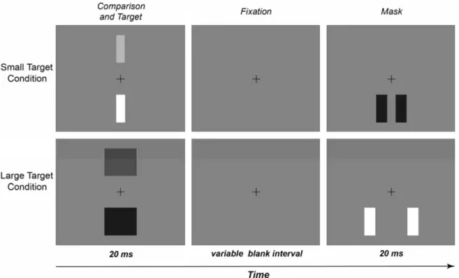 Fig. 1. Depictions, to scale, of stimuli used in the experiment. Target and comparison rectangles were presented directly below and above ﬁxation, respectively, and the target stimulus was followed at varying SOAs by two ﬂanking mask bars