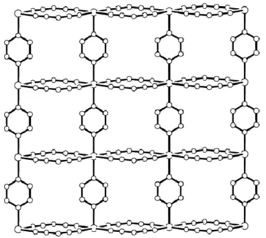 Figure 11. Structure of Co(dca) 2 (pyrazine) 10