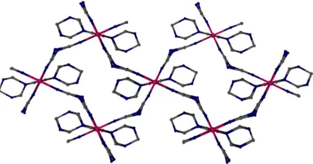 Figure  15.  2D  illustration  of  Co(dca) 2   connected  by  hmt  groups  (Hydrogen  atoms  are  not illustrated for the sake of simplicity.) 
