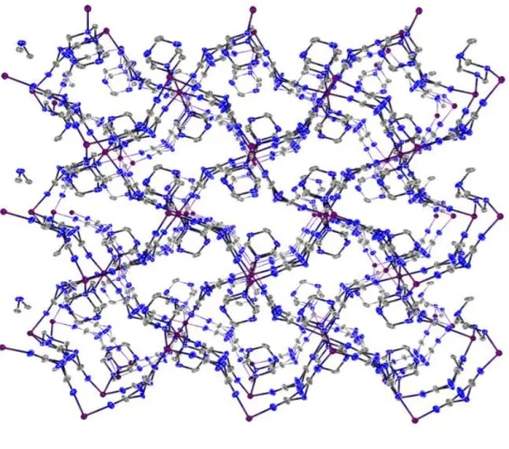 Figure  17.  Space  filling  diagram  of  Co(hmt)(dca) 2  (Hydrogen  atoms  and  solvent  molecules are not illustrated for simplicity.) 