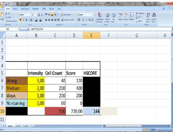 Fig. 2.1.The print  screen of the simple Excel® macro. In this example, 500 cell count  with different  intensity