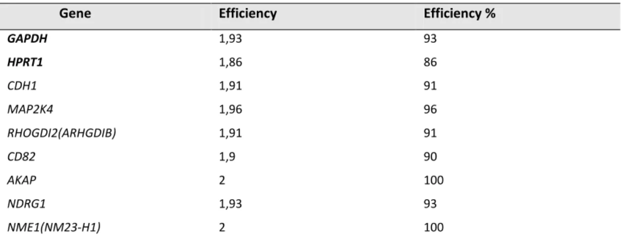 Table 2.4.  Amplification efficiencies of the used primer pairs. 
