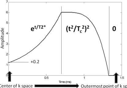 Figure 2.13: T2* correction combined with apodization correction and additional constant