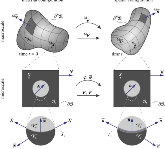 Fig. 3. A graphical summary of micro-to-macro transition of continua that accounts for interfaces at the microscale