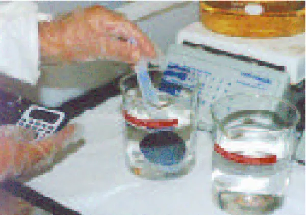 Figure 2.3: Development Process in Lab.