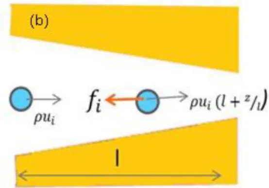 Figure 2.1  Inertial forces exerted by accelerating fluid elements in two different  microchannel