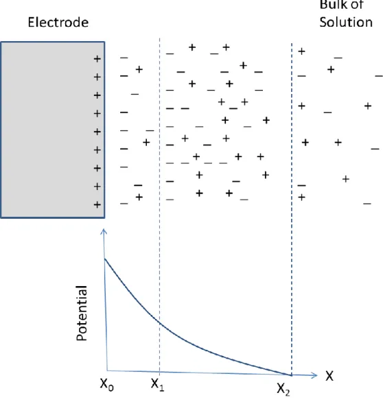Figure 3.2 Electrode double layer at positive potential near an electrode surface. 