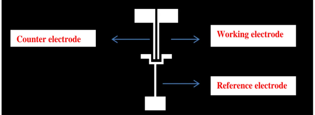 Figure 4.2 Transparent mask  used for UV-photolithography 