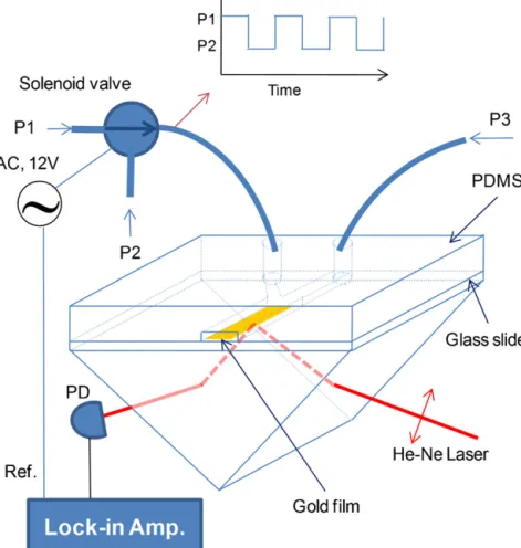 Fig. 1. Schematic representation of the microﬂuidic device and experimental setup used for hydrodynamic modulation