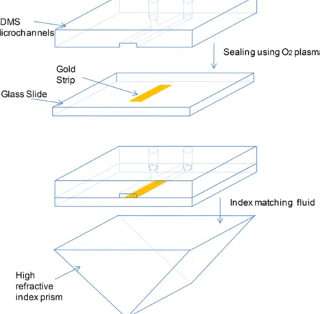 Fig. 2. Preparation of the differential plasmonic sensor. A thin layer of gold with a thickness of 50 nm is patterned on a glass slide by standard UV photolithography