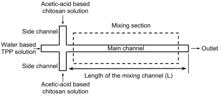 Figure 1. THE SCHEMATIC DRAWING OF THE MICROCHANNEL NETWORK