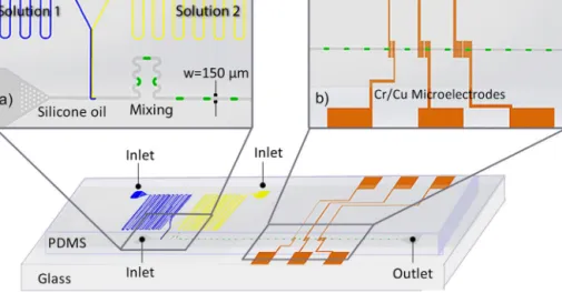 Fig. 1. Schematic of the microﬂuidic device. The insets show the (a) droplet generation region and mixing region, (b) detection region.