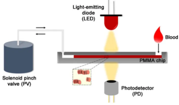 Fig. 1   Schematic representation of the microfluidic system used for  ESR measurement