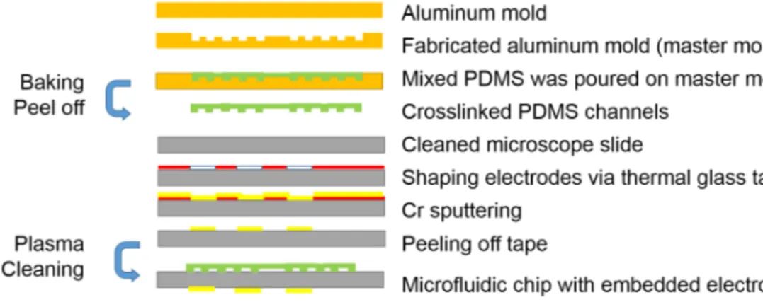 Figure 2.1: Demonstration of fabrication steps of microfluidic chip with embedded electrode