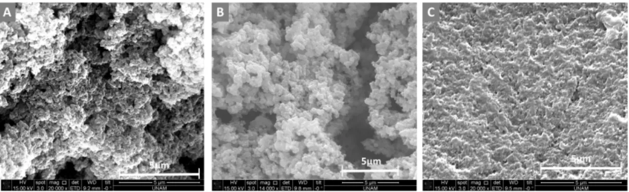Figure 2.5: SEM image and morphological character of poly(M-POSS) obtained by dispersion polymerization with different momoner amounts: (A) 0.06 g POSS, (B) 0.12 g POSS, and (C) 0.24 g POSS in conventional batch reactor