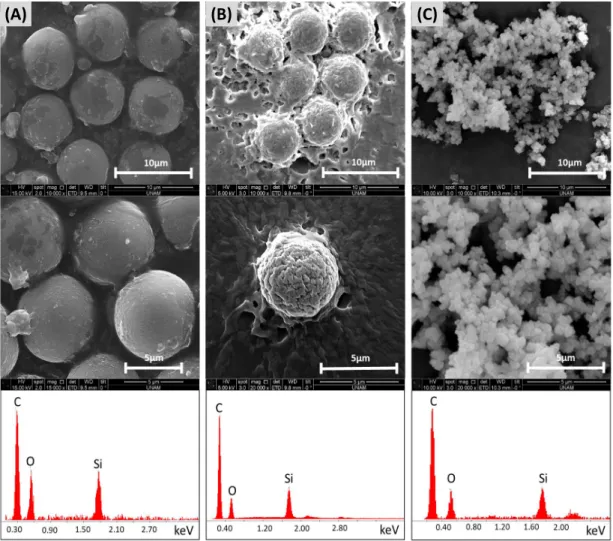 Figure 2.7: SEM images and EDX spectra of poly(M-POSS) synthesized in (A) microfluidic reactor placed on hot plate, (B) electrode embedded microfluidic reactor, and (C) conventional reactor
