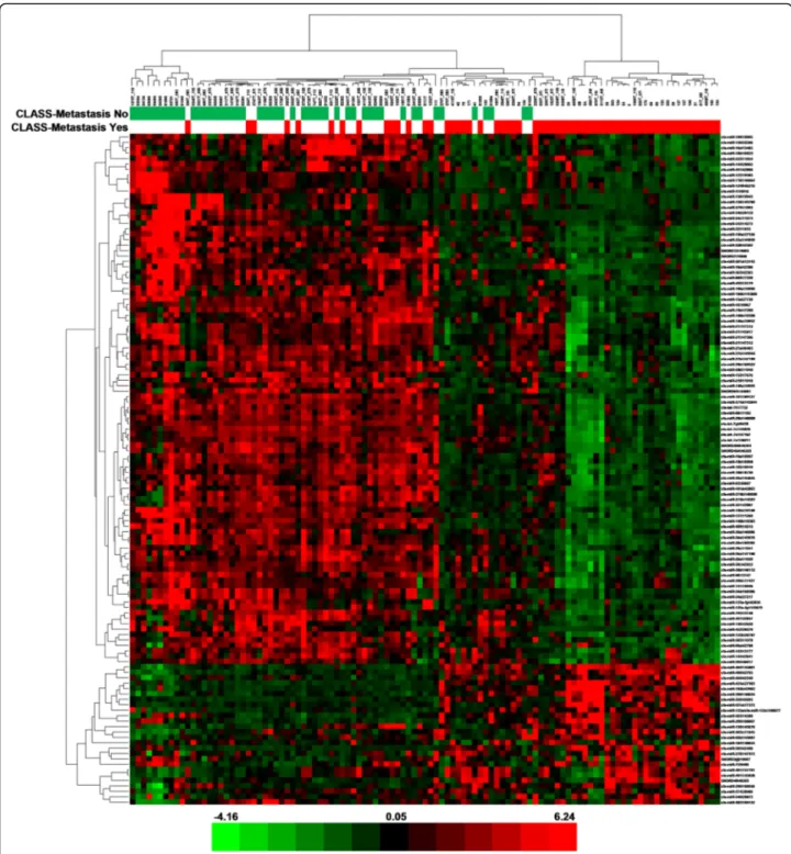 Fig. 5 Heat map − metastasis. The scaled expression of the differentially expressed microRNAs for 107 samples and the relationship among the samples in terms of microRNAs found to be differentially expressed for the metastasis factor; Significance Analysis