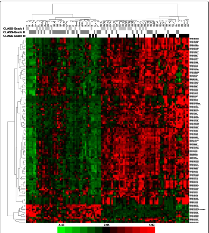 Fig. 4 Heat map − grade of malignancy. The scaled expression of the differentially expressed microRNAs for 111 samples and the relationship among the samples in terms of microRNAs found to be differentially expressed for the malignancy grade factor; Signif