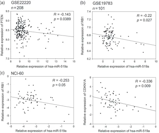 Figure 3. Correlation analysis of miRNA-519a and its target genes in patient datasets and NCI-60 cell line panel presented as scatter plots.