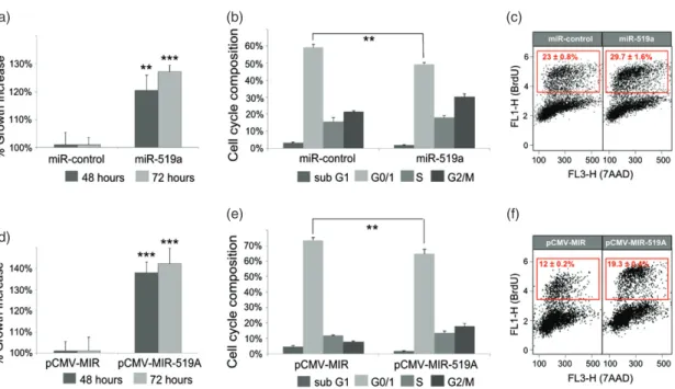 Figure 5. miRNA-519a effects on viability and cell cycle. (a) Viability of MCF-7 WT cells was measured 48 and 72 h after transfection with miR-control or miRNA-519a