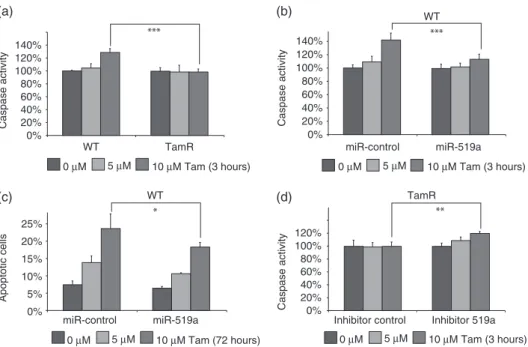Figure 6. miRNA-519a reduces tamoxifen-induced apoptosis. (a) Caspase activity is elevated only in WT cells after 3 h treatment with 10 μ M
