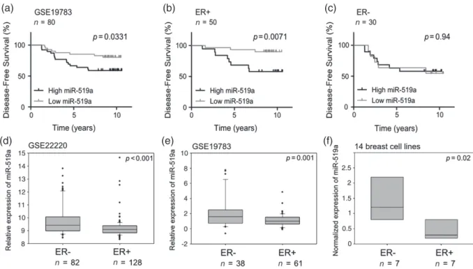Figure 7. Increased expression of miRNA-519a is significantly correlated with poorer disease-free survival in ER+ breast cancer patients and poor clinicopathological features in breast cancer