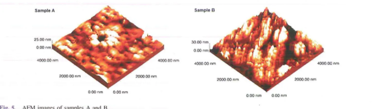 Fig.  5.  AFM  images  of samples  A and  B. 