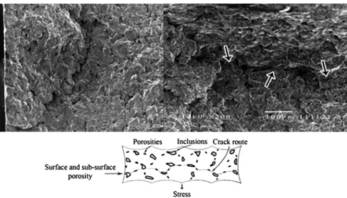 Fig. 7. SEM images from fractured surface for different sintered samples.