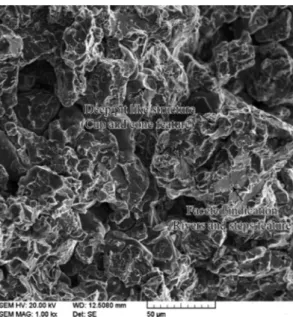 Fig. 8. A typical SEM image of TPB fractured surface for intermediate alloying content showing two feature characteristic.