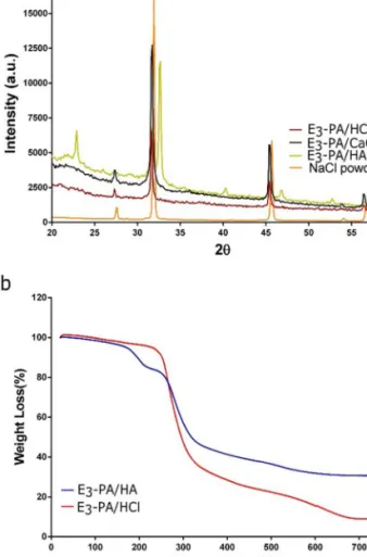 Figure 3. (a) XRD patterns of mineralized and non-mineralized peptide nanofibers and NaCl powder, and (b) TGA analysis of mineralized and  non-mineralized peptide nanofibers