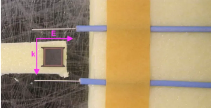 FIG. 2. 共Color online兲 Experiment setup 共photo兲. The polarization of the incident wave is also shown.