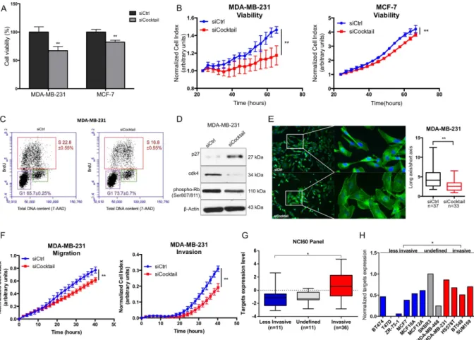 Figure 4.  Combinatorial knockdown of AKT2, GNA12, GYS1 and SRF mimics the inhibitory effects of  miR-564 on proliferation and migration in breast cancer cells