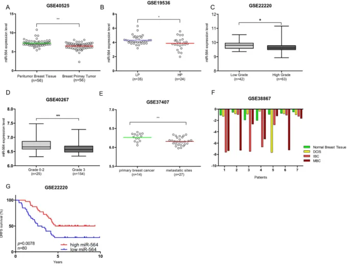 Figure 5.  miR-564 predicts survival and suppresses tumor progression and metastasis in breast cancer  patients