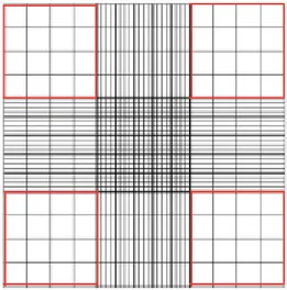 Figure 2.1 Representative figure of chambers of hemocytometer. Cells within the  chambers designated with red lines are counted in order to determine the cell number