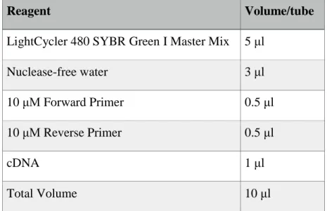 Table 2.5 Reagents and volumes of them used in qPCR. 