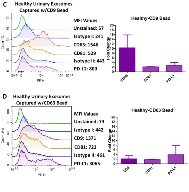 Figure 3.1 Presence of exosome-specific markers and PD-L1 in PC-3 exosomes and  healthy urinary exosomes