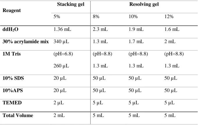 Table 3. 15. Protocol for stacking and resolving gels preparation 